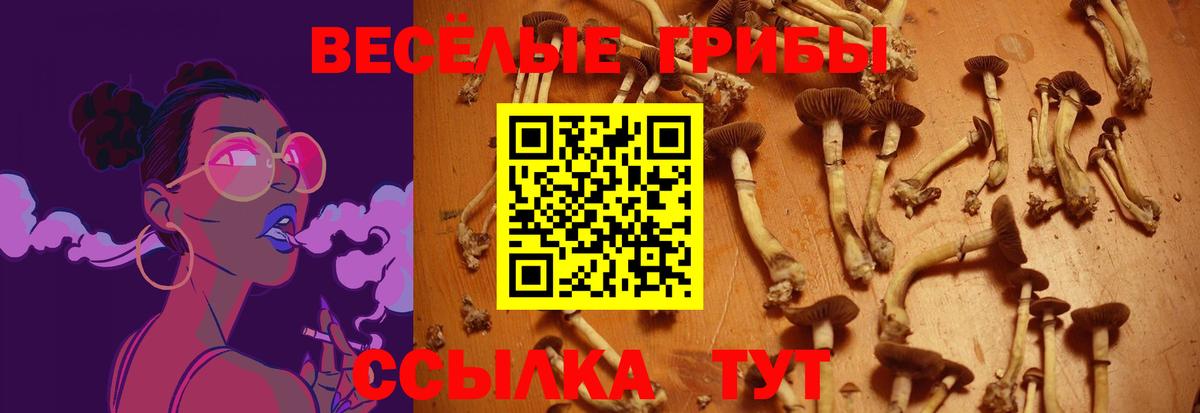 Павлово  Псилоцибиновые грибы ЛСД  Вход с VPN 
